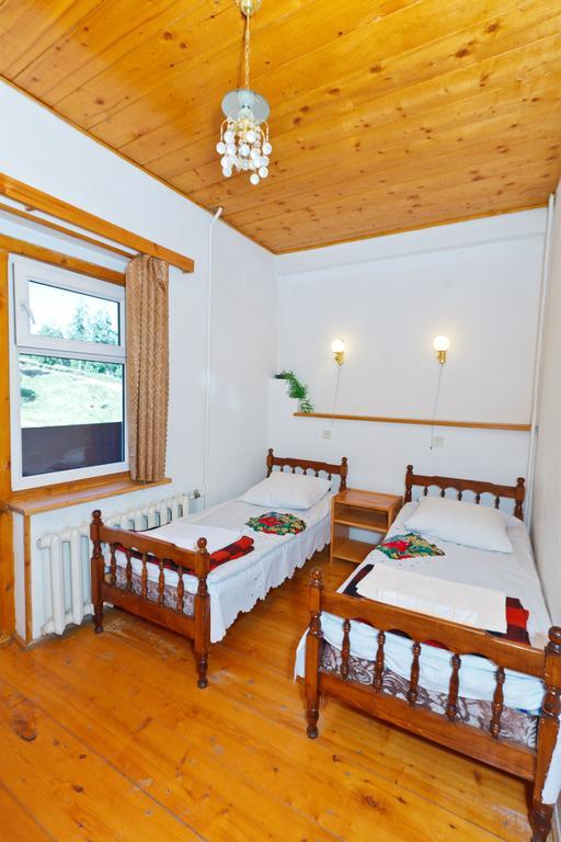 Hotel Apollon Bakuriani Cameră foto